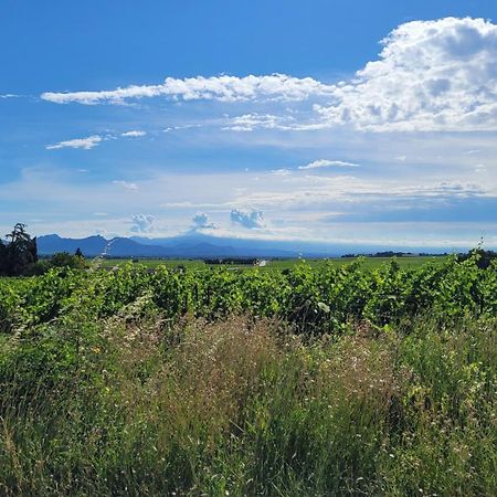 Le Willow Chateauneuf-du-Pape Ngoại thất bức ảnh
