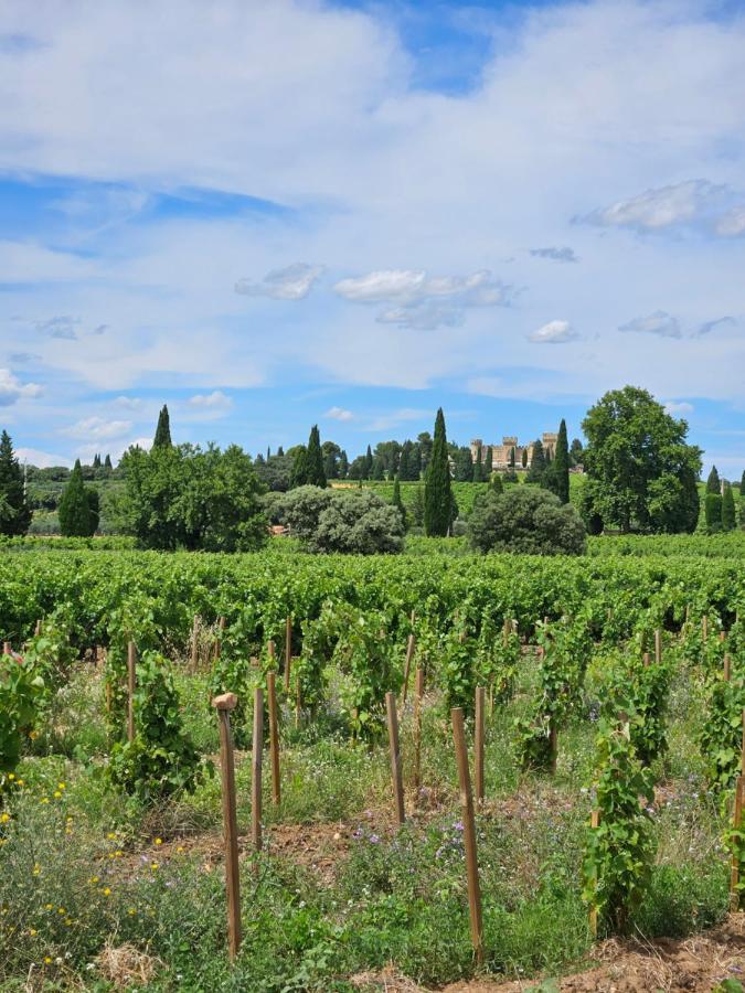 Le Willow Chateauneuf-du-Pape Ngoại thất bức ảnh